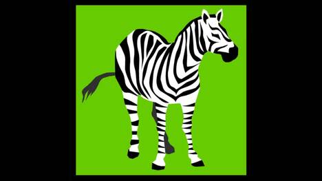 Animal Video for Kids | Kids Learning Videos