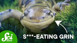 Why These Animals Eat Sh*t Instructional Video