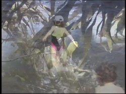 Oceanography: Summing Up Instructional Video