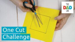 How to Make a Perfectly-shaped Hole with One Cut Instructional Video