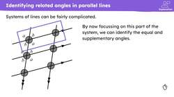 Angles on parallel lines traversed by a straight line Instructional Video