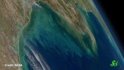 Why the Oceans Are Getting Darker Instructional Video