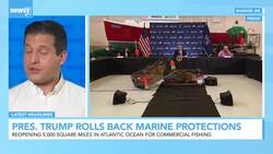 Newsy's Latest Headlines News Clip