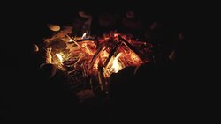 Burn fire with wood on beach camp Stock Footage