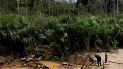 Peru’s military tries to curb illegal gold mining in Amazon - aerial footage Instructional Video