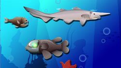 I WONDER - What Creatures Live In Deep Sea Ecosystems? Instructional Video