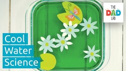5 Science Experiments with Water Instructional Video