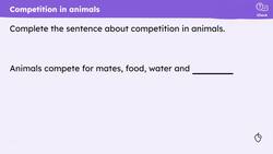 Competition Instructional Video