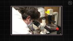 Do We Already Have the Cure for Covid-19? News Clip