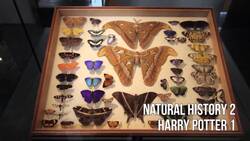 Harry Potter vs. Science! Instructional Video