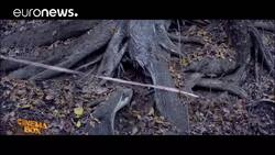 ‘Loveless’: eerie Russian parable of a broken society News Clip