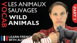 Wild Animals in French Part 1 (basic French vocabulary from Learn French With Alexa) Instructional Video