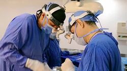 Removal of nasal septum during actual surgical procedure of nasal septum deviation correction and rhinoplasty. Female patient under general anesthesia. Stock Footage