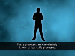 Introduction to Life Process Instructional Video