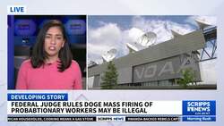 Judge finds mass firings of federal probationary workers to likely be unlawful News Clip