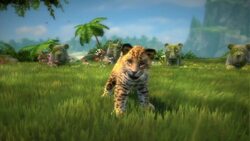 How to Play Kinectimals Instructional Video