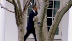 How the NRA Shot Itself in the Foot News Clip