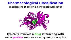 Categorizing Drugs Classes, Names, and Schedules Instructional Video