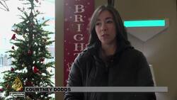 Arctic blast upends travel, disrupts power in US, Canada News Clip