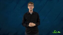 The Story of the World's Favorite Fossil Instructional Video