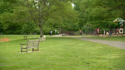 Pond at Wilton’s Merwin Meadows Park to be closed for entire 2025 season News Clip