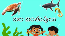 A Peek at Aquatic Animals - Telugu Instructional Video