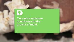 How to Clean Up Your Home after a Winter Storm Instructional Video