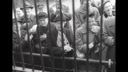 Chimpanzees performing at zoo in Hamburg, Germany News Clip