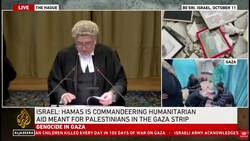 Israel lawyer makes comparison to Bosnian genocide case News Clip