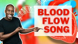 Blood Flow Song: How Blood Flows Through the Heart Instructional Video