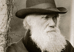 El dilema de Darwin Instructional Video