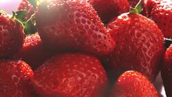 The History and Characteristics of the Strawberry Instructional Video