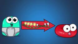 How Cells Become Specialized Instructional Video