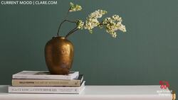 Nicole Gibbons | The Couch Instructional Video