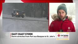 Blizzard strikes NL; schools closed, flights cancelled News Clip