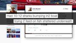 Ontario man rows across Pacific Ocean News Clip