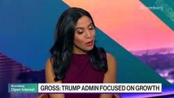 Morgan Stanley's Gross Expects Rebound in Deal Activity News Clip