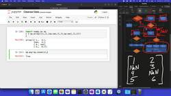 Data Cleansing Instructional Video
