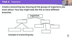 Carl Linnaeus and classification Instructional Video