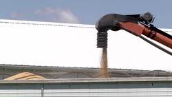 US-China trade war causes anxiety in midwest Instructional Video