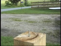 Nervous and Endocrine Systems: Introduction Instructional Video