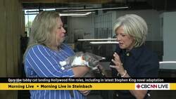 This blind tabby cat from Steinbach, Man., stars in Stephen King film News Clip