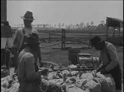 Emergence Of Modern America: The Depression - Minorities Instructional Video