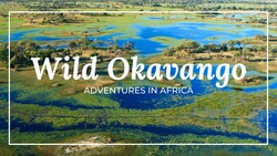 The Okavango Delta: A Wildlife Haven in the Heart of Africa Instructional Video