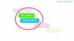 Are COVID Vaccines Really Safe? How Scientists Developed a Safe Vaccine in Months - TLDR News Instructional Video