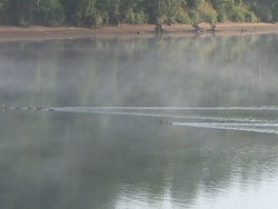 ¿Qué es el ciclo del agua?: evaporación Instructional Video