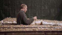 Mushroom Cultivation in the Hidden Quarries of Paris Instructional Video