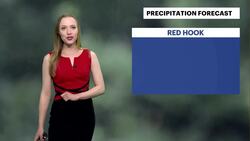 Hot, humid with highs near 90 for Brooklyn News Clip