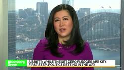 ANU's Aisbett on G-20's Climate Goals News Clip