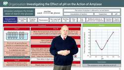 How to Conduct an Experiment on pH and Amylase in Biology Instructional Video